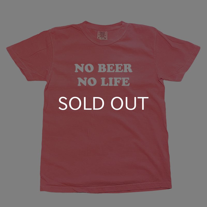 画像1: NO BEER NO LIFE Tシャツ (WATER MELON) (1)
