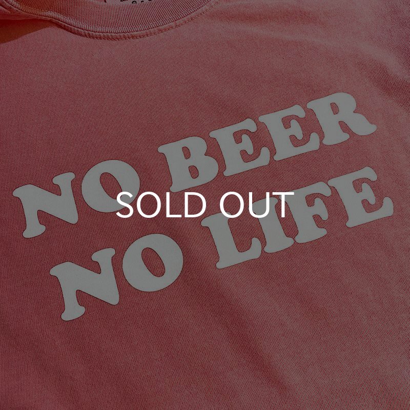画像2: NO BEER NO LIFE Tシャツ (WATER MELON) (2)