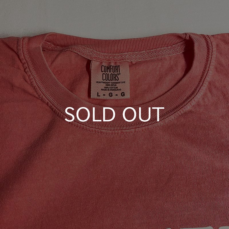 画像3: NO BEER NO LIFE Tシャツ (WATER MELON) (3)