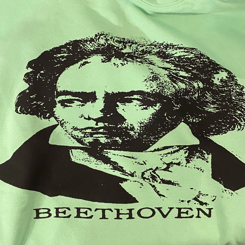 画像2: BEETHOVEN HOODIE (MINT) (2)