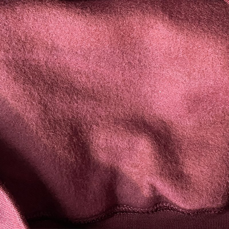 画像3: NO BEER NO LIFE HOODIE (MAROON/YELLOW) (3)