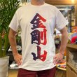 画像1: 金剛山 Tシャツ (WHITE/GRADATION) (1)
