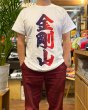 画像2: 金剛山 Tシャツ (WHITE/GRADATION) (2)