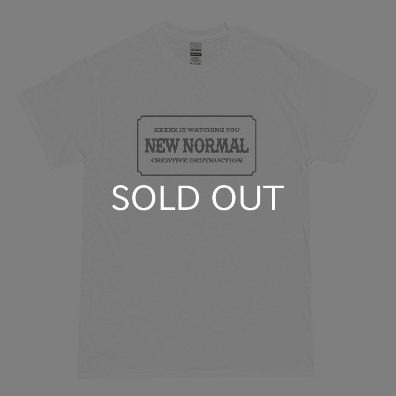 画像1: NEW NORMAL Tシャツ (WHITE/GREY) (1)