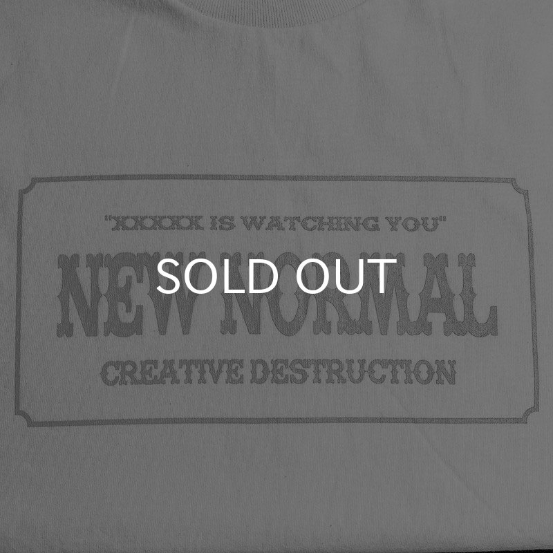 画像2: NEW NORMAL Tシャツ (WHITE/GREY) (2)