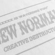 画像3: NEW NORMAL Tシャツ (WHITE/GREY) (3)
