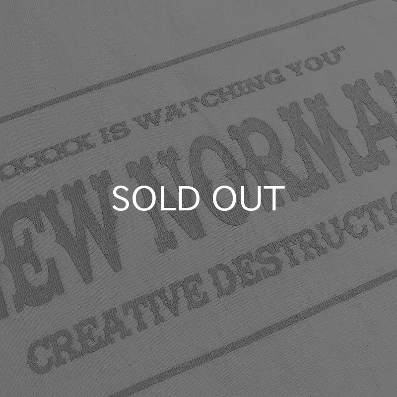 画像3: NEW NORMAL Tシャツ (WHITE/GREY) (3)