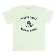 画像1: WISH YOU WERE HERE Tシャツ (FROST GREEN) (1)