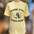 画像3: WISH YOU WERE HERE Tシャツ (FROST YELLOW) (3)