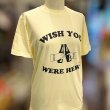 画像4: WISH YOU WERE HERE Tシャツ (FROST YELLOW) (4)