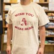 画像3: WISH YOU WERE HERE Tシャツ (NATURAL/BORDEAUX) (3)