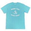 画像1: WISH YOU WERE HERE Tシャツ (CELADON) (1)