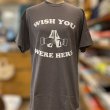 画像2: WISH YOU WERE HERE Tシャツ (CHARCOAL) (2)