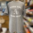 画像3: WISH YOU WERE HERE Tシャツ (GREY) (3)