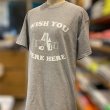 画像2: WISH YOU WERE HERE Tシャツ (GREY) (2)