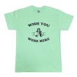 画像1: WISH YOU WERE HERE Tシャツ (MINT GREEN) (1)