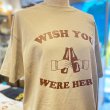 画像3: WISH YOU WERE HERE Tシャツ (SAND/BROWN) (3)