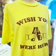 画像3: WISH YOU WERE HERE Tシャツ (SAFETY GREEN/BROWN) (3)