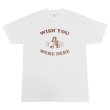 画像1: WISH YOU WERE HERE Tシャツ (WHITE/BROWN) (1)