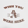 画像2: WISH YOU WERE HERE Tシャツ (WHITE/BROWN) (2)