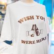 画像3: WISH YOU WERE HERE Tシャツ (WHITE/BROWN) (3)