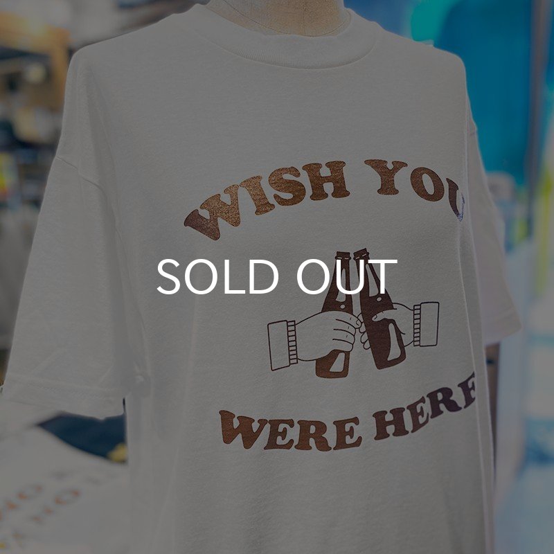 画像3: WISH YOU WERE HERE Tシャツ (WHITE/BROWN) (3)