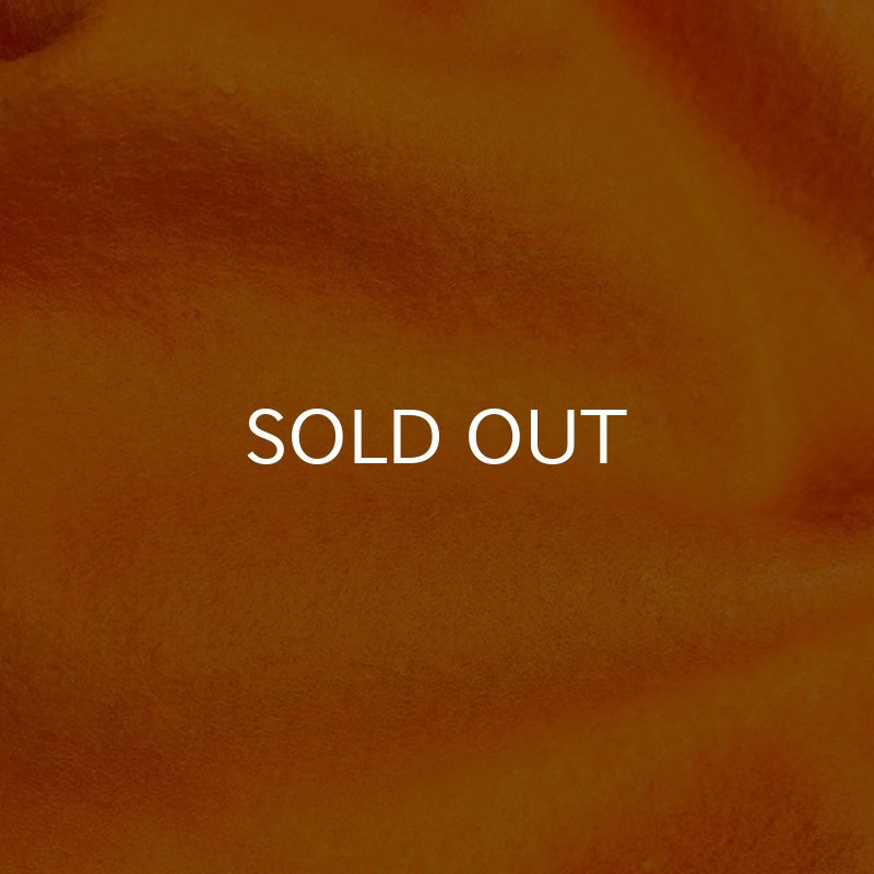 画像5: NO BEER NO LIFE HOODIE (SAFETY ORANGE/BLACK) (5)