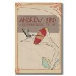 画像1: ANDREW BIRD ポスター / 2007 LIVE POSTER (1)