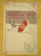 画像2: ANDREW BIRD ポスター / 2007 LIVE POSTER (2)