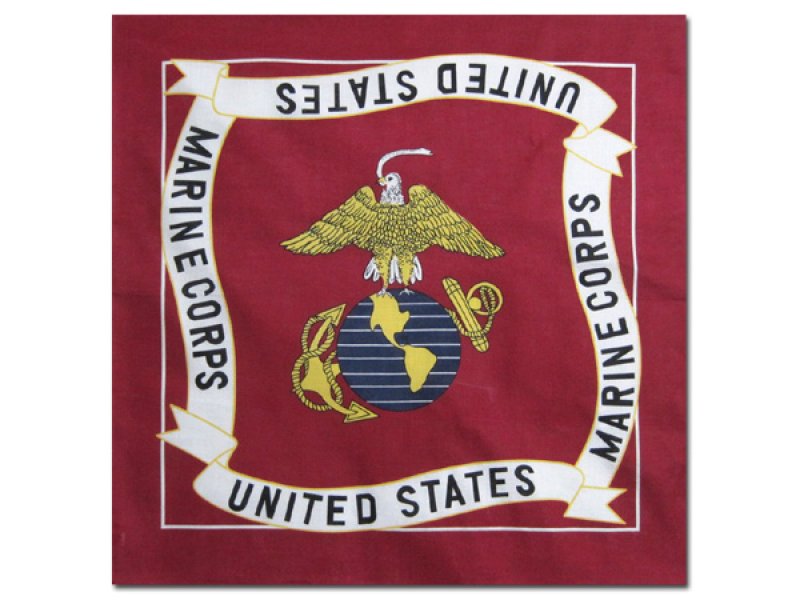 画像2: US ミリタリー バンダナ / FLAG (2)