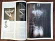 画像4: JUXTAPOZ / MAGAZINE 2001年 11,12月号 #35 (4)