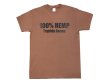 画像1: 100% HEMP TEGRIDY FARMS Tシャツ (CHESTNUT) (1)