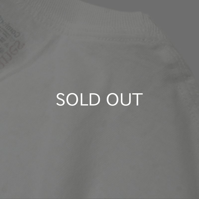 画像3: HANES ヘインズ / TAGLESS 3T-SHIRTS COMFORTSOFT (3)