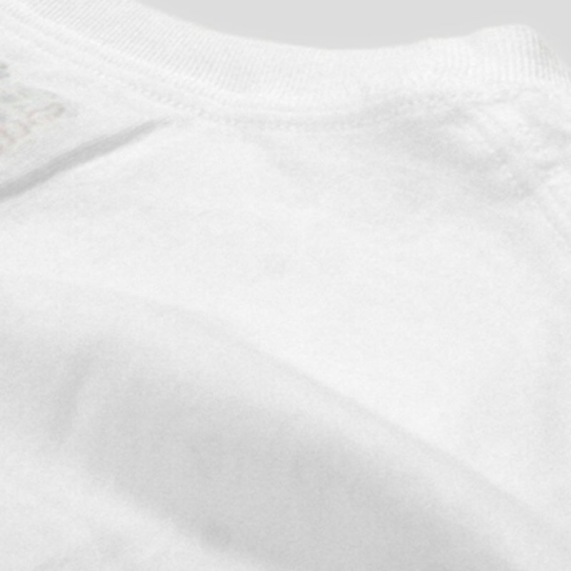 画像3: HANES ヘインズ / TAGLESS 3V-NECKS COMFORTSOFT (3)