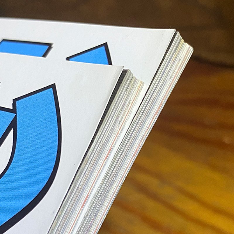 画像3: THRASHER / MAGAZINE 2012年6月号 #383 (3)